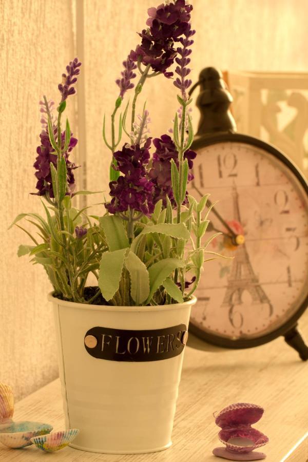 Апартамент Fleur 네세부르 외부 사진